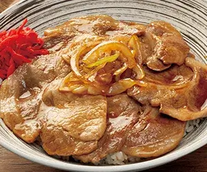 豚丼の写真
